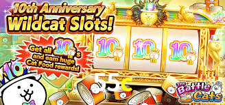 Live Casino 55c