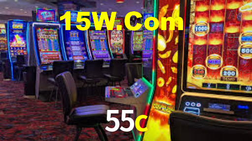 Programa VIP 55c