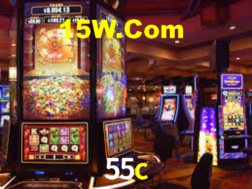 55c App Interface